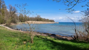 Au bord du lac de Neuchâtel