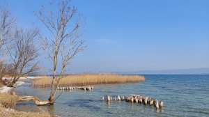 Au bord du lac de Neuchâtel