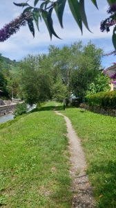 Le long de l'Avançon