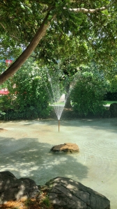 Fontaine n°1, La grande salle du Parc Pittier