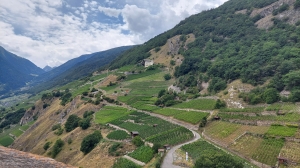 Vue depuis le sommet de la tour du Château de La Bâtiaz