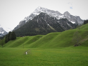 Seehore