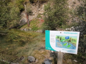 Petits étangs le long du Chirel