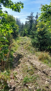 Le chemin sur la crête