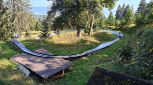 Toboggan (luge d'été): début de la descente.