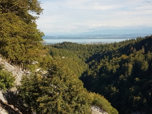 Vue en direction de l'aval
