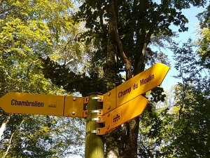 Et voilà le départ du Sentier Bleu