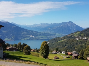 Lac de Thoune du haut de Waldegg