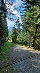 En début de parcours