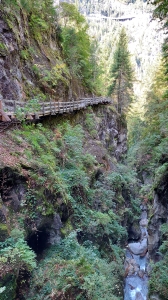 La passerelle en bois