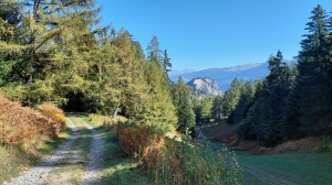 Sur le chemin du retour