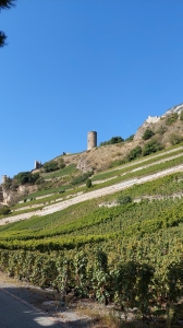 Le donjon Bayart