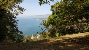 Le Léman depuis la Châtaigneraie de Veytaux