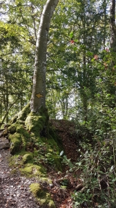 Près de l'Aveyre
