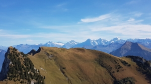 Schreckhorn Eiger Mönch Jungfrau vus du Stockhorn