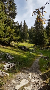 Montée vers le Berggasthaus Oberstocknalp