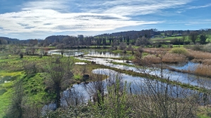 Marais d'Auried