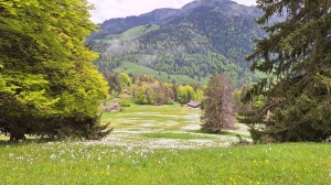 Bientôt à Lally
