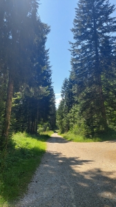 Le chemin du retour