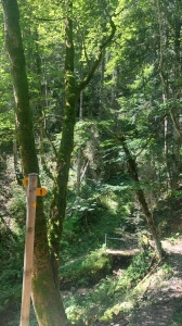 Le sentier à la montée