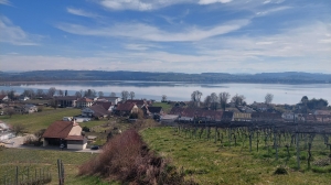 Vue sur le lac de Morat