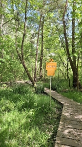 Sentier bien aménagé dans la forêt