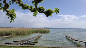 Joli coup d'œil sur le lac de Neuchâtel
