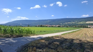 La balade passe dans les champs