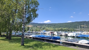 Le port du Landeron