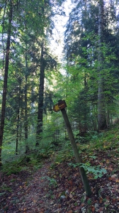 Les flèches et panneaux ont subi la dégradation du temps