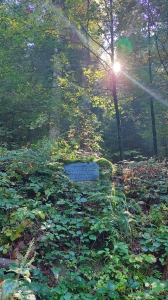 Plaque en hommage à Henry Biolley, sylviculteur