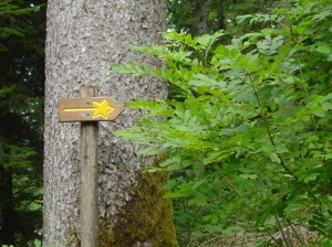 Flèche indiquant la direction à prendre