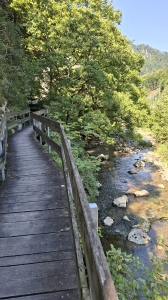 Passerelle, le long de la Birse