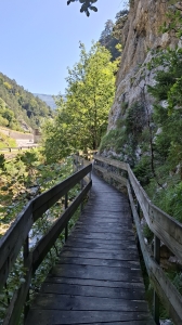 Passerelle en bois