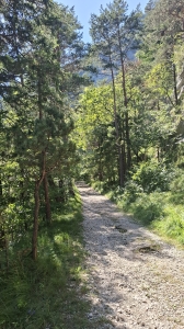 Chemin pédestre 