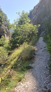 Chemin des gorges
