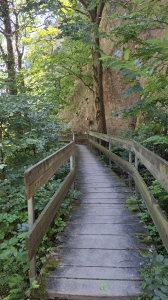Passerelle en bois