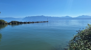 La Venoge rejoint le Léman