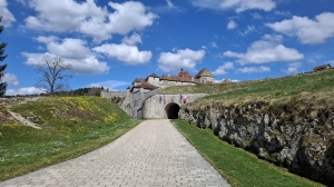 Chemin d'accès au château