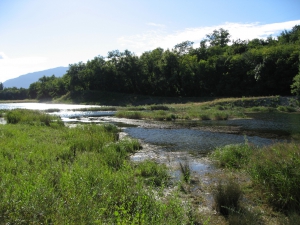 Etang Paul Géroudet