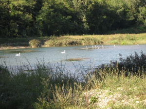 Etang Maurice Blanchet