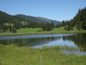 Le Lac de Lauenen (1381m)