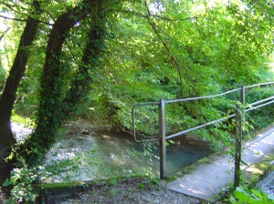 La passerelle sur l'Arnon, pas très loin de Fiez