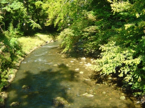 Vue plongeante sur L'Arnon depuis la passerelle