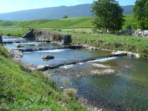 L'Arnon, peu après Champagne