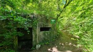 Bunker de la ligne de défense du Vully