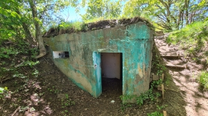 Reste d'un bunker