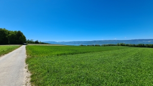 Vue sur le lac de Neuchâtel