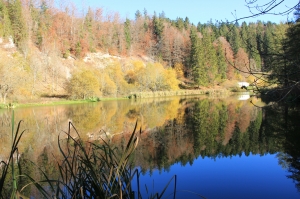 Etang en automne 