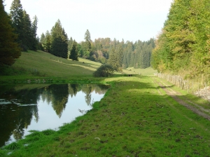 Etang au départ du sentier de l'eau